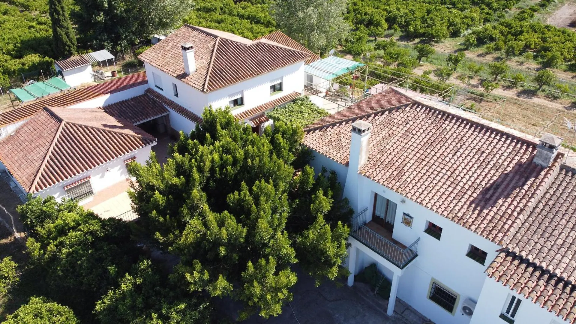 Casa Rural Humberto Con 3 Dormitorios Малага Дом отдыха
